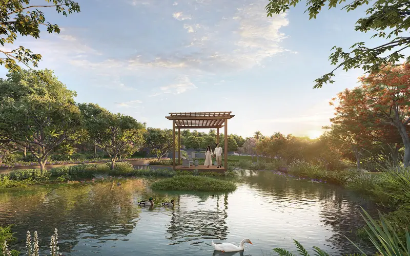Pergola deck beside a lily pond with ducks